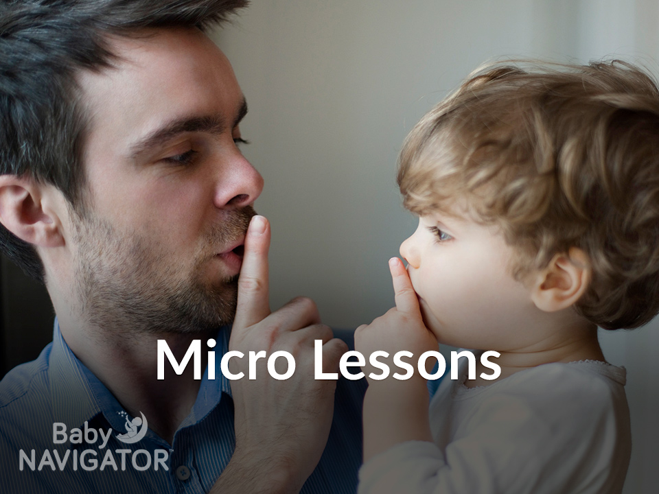 Micro Lessons